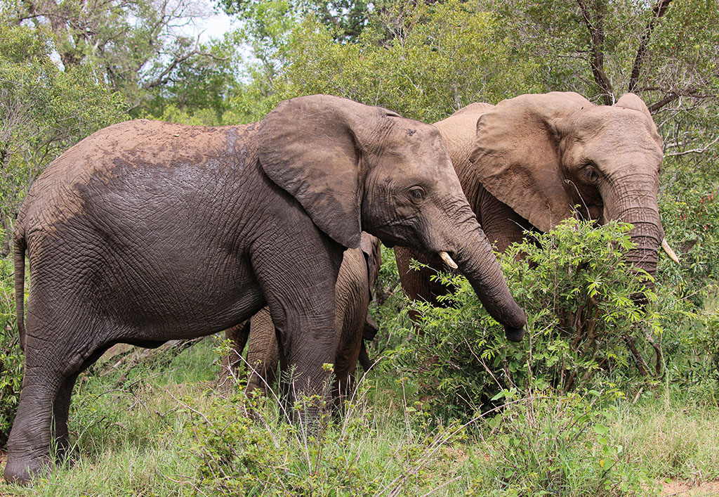  - IGE Erlebnisreisen | 